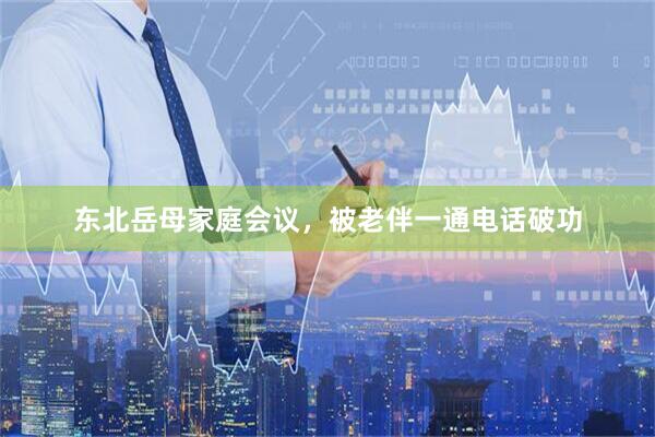 东北岳母家庭会议，被老伴一通电话破功
