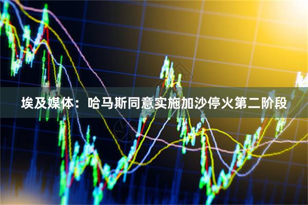 埃及媒体：哈马斯同意实施加沙停火第二阶段