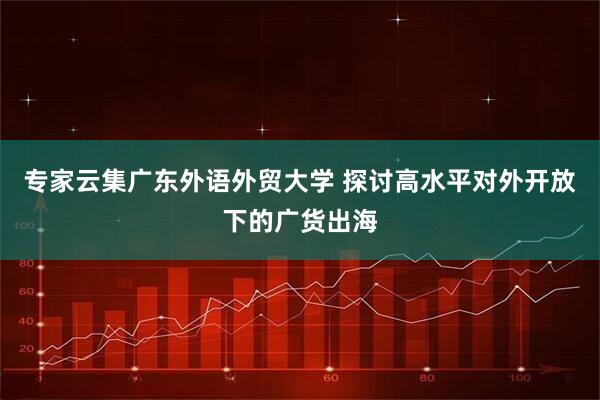 专家云集广东外语外贸大学 探讨高水平对外开放下的广货出海